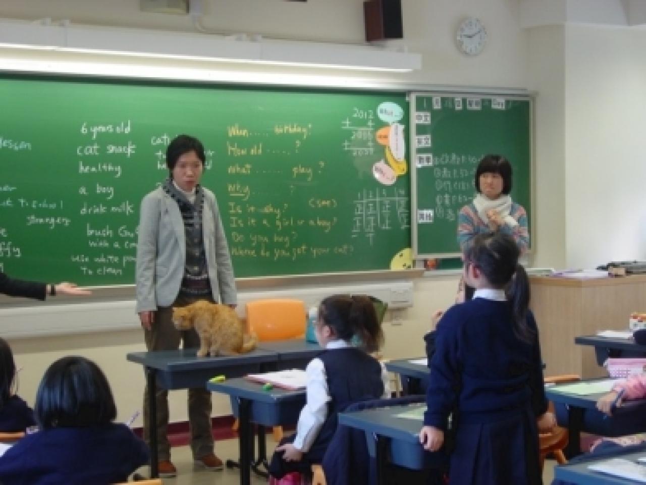 Students set questions and asked about the living habits of the teacher’s pet.