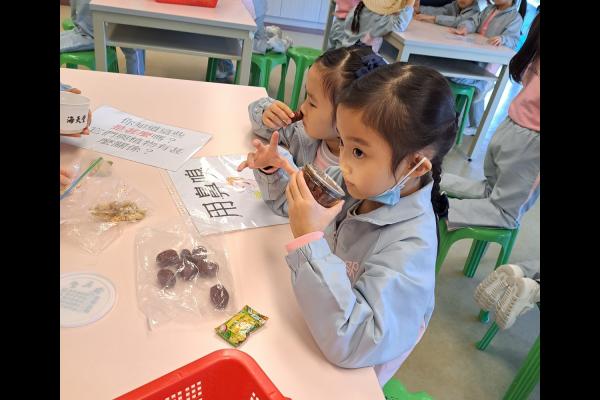 同學透過五感，用眼、耳、口、鼻及皮膚來認識植物。